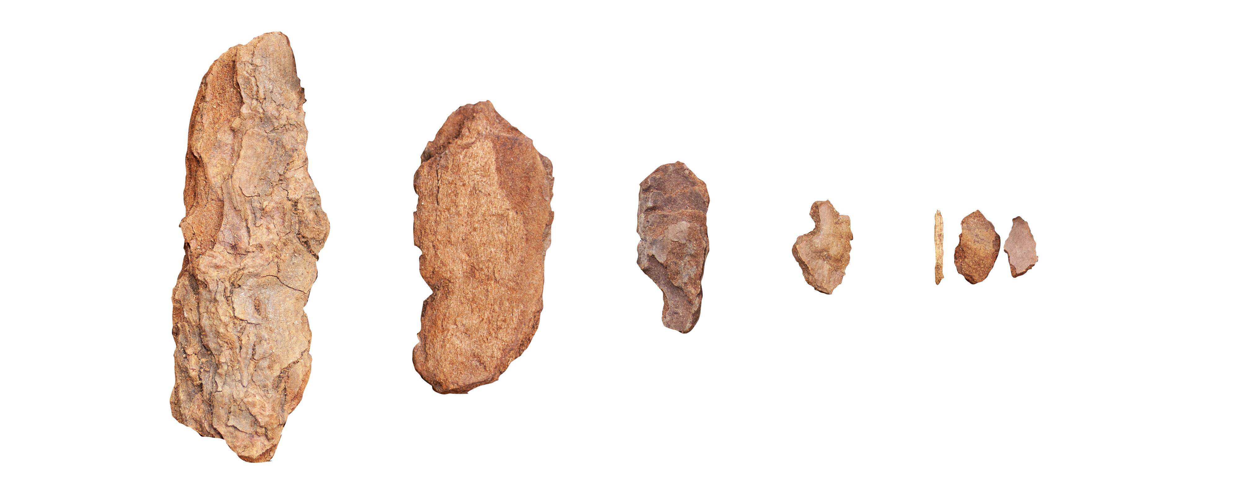 Schichtweise angeordnetes Rindenmaterial zeigen unterschiedliche Größen, in heller Umgebung dargestellt.